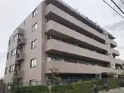 ルピナス朝霞ガーデンフィールド