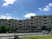 UR小金原けやき通り