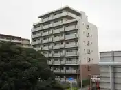 ミオカステーロ村上