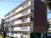 上中ノ原団地11号棟