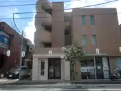 サザンクロスショウナン