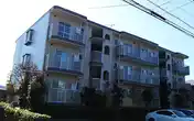 サングリーン7