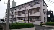 ブロンズヒル