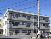 アムールオオカサ