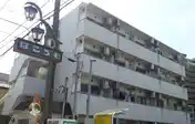 サンラフォーレ