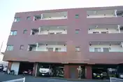 ニューラポール観音