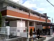 プリムラ1