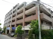 アデニウム西船橋