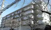 ハイネス青葉台A棟