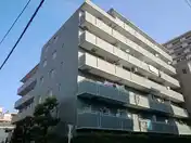 エヴァーグリーン錦糸町