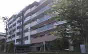 ジークレフ藤沢
