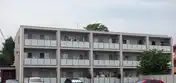 フェリーチェ