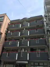 ヴァージピノ