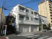 フェンネル藤沢