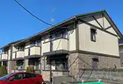 マルベリー