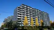 シティテラス板橋蓮根