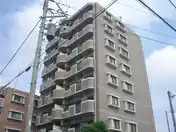 デネブ・スワン