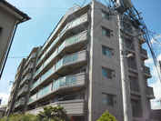 ナイスエスアリーナ新川崎 外観