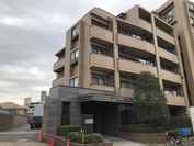 コスモ市川南シティフォルム 外観