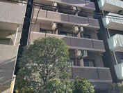 菱和パレス御茶ノ水湯島天神町 外観