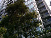 THE ROPPONGI TOKYO 外観