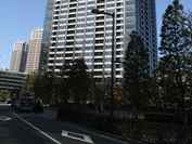 シティタワーズ豊洲ザ・シンボル 外観