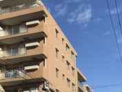 プランヴェール川口 外観