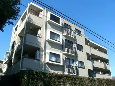 アデニウム千歳烏山