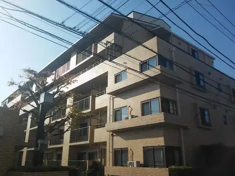 セルコヴァハイツ綱島