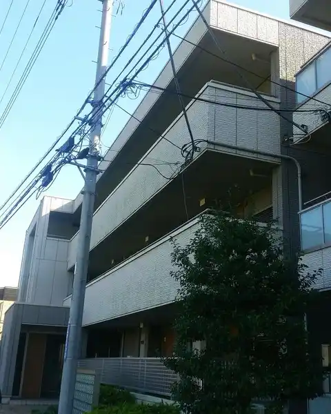 グレースランド