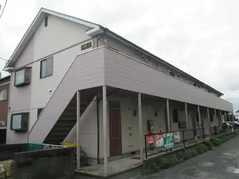 スプルース