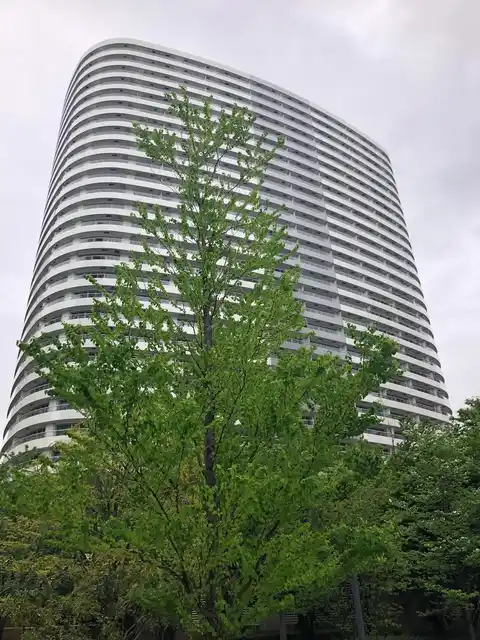 M.M.TOWERS FORESIS L