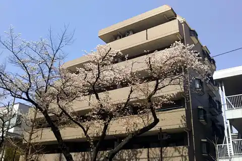 ライオンズマンション国立さくら通り