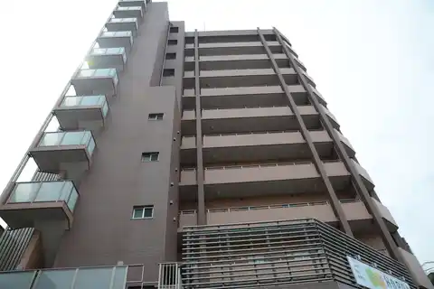 ウイングルート