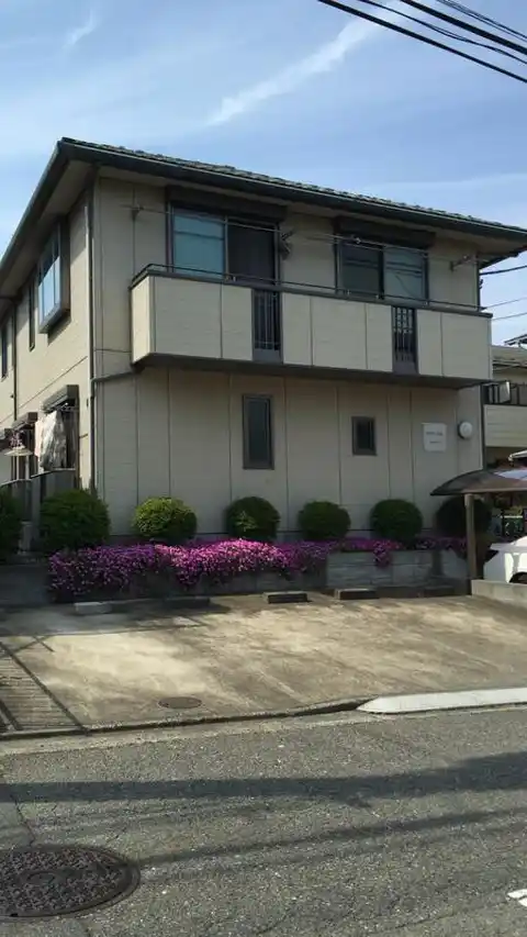 シャインフレア
