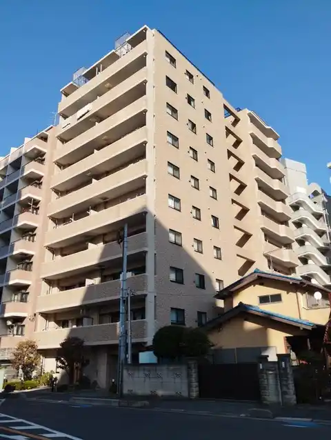 カテリーナ川口並木