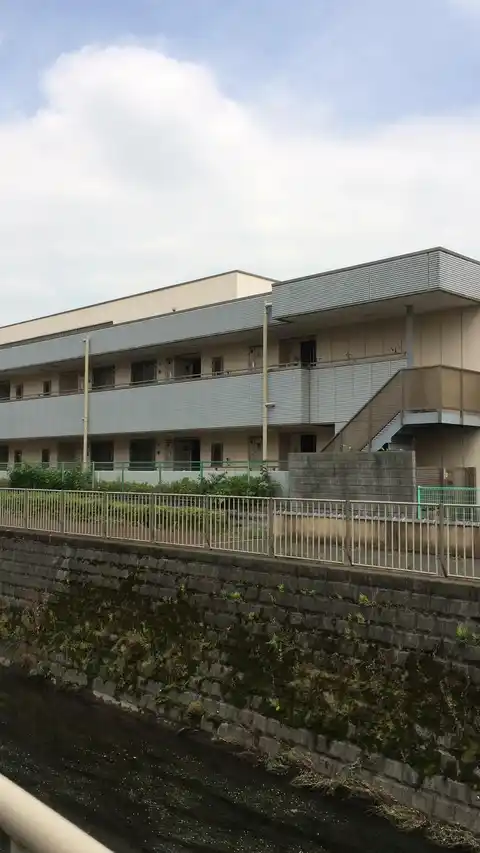 ネオヨーコ