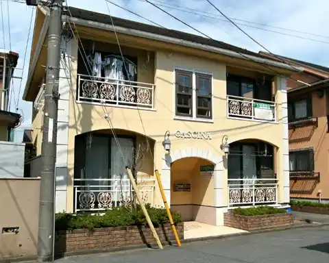 カシーナ