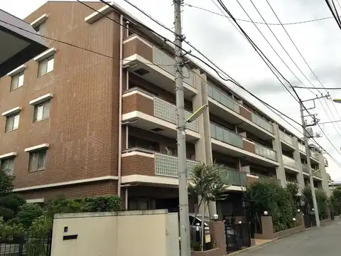 アデニウム二子玉川