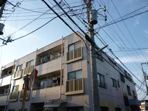 パインニードル