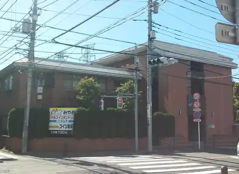 タピオラ