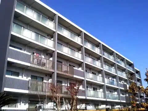 GlicinaOtaka2