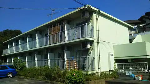ルミニコスモス