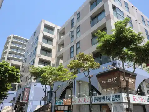 プリメロ ショウナン