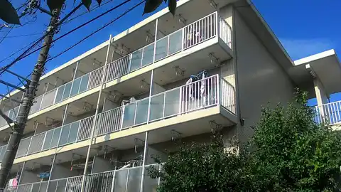 セシーズイシイ6