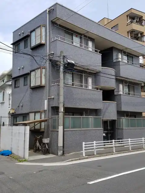 ステラ向井