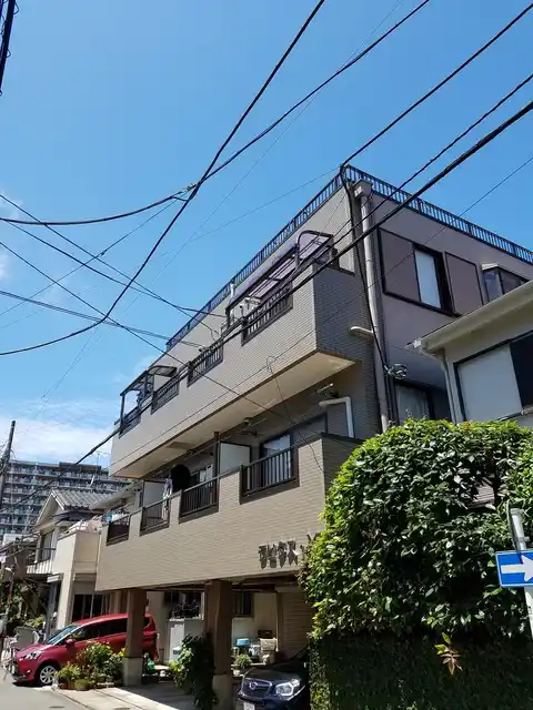 ラピタスY