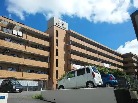 ダイアパレス菊名