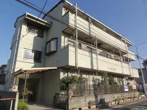 パールピアホシノ