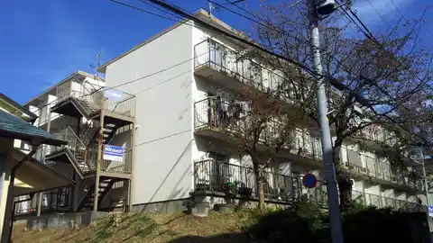 ハイツ椎の木